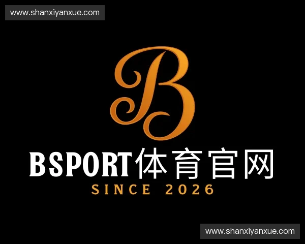 解读BSport体育官网